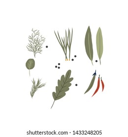 Vector set of greens, spices and herbs in flat style on a white background.