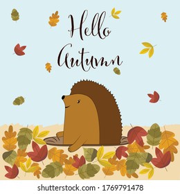 Conjunto vectorial de tarjetas de felicitación con elementos de otoño y letras. Septiembre feliz, hola otoño, lindo erizo, enamorarse, disfrutar - frases establecidas.