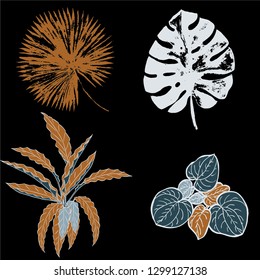 Vector set of grey and brown tropical leaves of palm trees on the black background. Vector grunge leaves. Tropical illustration. Jungle foliage. Cool floral wallpaper