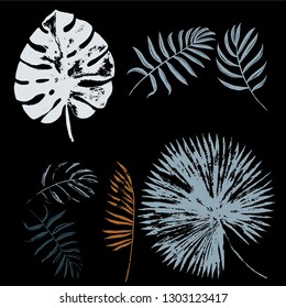 Vector set of grey and brown tropical leaves of palm trees on the black background. Vector grunge leaves. Tropical illustration. Jungle foliage. Cool floral wallpaper