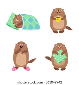 Vector set of groundhog sleeping and waking up. Flat style