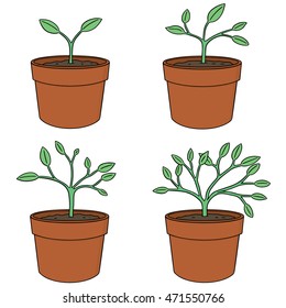 vector set of growing tree