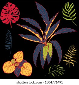 Vector set of grunge bright tropical leaves of palm trees on the black background. Vector grunge leaves. Tropical illustration. Jungle foliage. Cool floral wallpaper