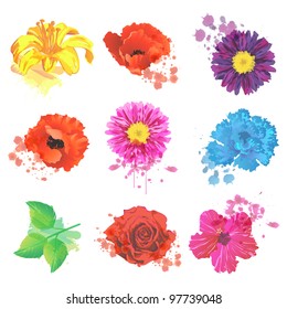 Vector Set of Grunge or Watercolor Flowers - EPS10