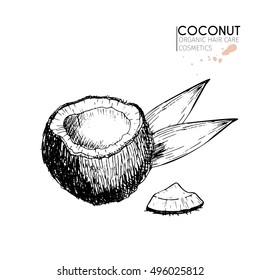 Vector set of hair care ingredients. Organic hand drawn elements. Coconut, slices and leaves. Use for cosmetic package, shop, store, products,  spa salon, wellness program, procedure, skin, hair care 