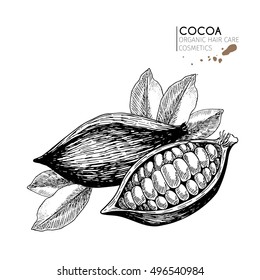 Vector set of hair care ingredients. Organic hand drawn elements. Cocoa beans and leaves. Use for cosmetic package, shop, store, products,  spa salon, wellnes program, procedure, skin, hair care. 