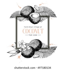 Vector set of hair care ingredients. Organic hand drawn elements. Square border composition. Coconut branch. Use for cosmetic package, shop, store, products, identity, branding, skin, hair care