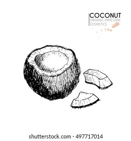 Vector set of hair care ingredients. Organic hand drawn elements. Coconut and slices. Use for cosmetic package, shop, store, products,  spa salon, wellness program, procedure, skin, hair care 