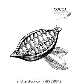 Vector set of hair care ingredients. Organic hand drawn elements. Cocoa bean and leaves. Use for cosmetic package, shop, store, products, spa salon, wellness program, procedure, skin, hair care. 