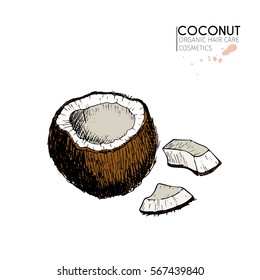 Vector set of hair care ingredients. Organic hand drawn colored elements.Coconut half and slices. Use for cosmetic package, shop, store, products, spa salon, wellness program, procedure, skin, beauty.