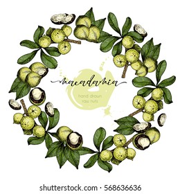 Vector set of hair care ingredients. Organic hand drawn colored elements.Macadamia nuts wreath.cosmetic package, shop, store, products, spa salon, wellness program, procedure, skin beauty