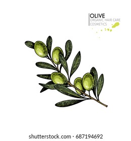 Vector set of hair care ingredients. Organic hand drawn elements. Farm market vegetables. Colored green olive branch. for cosmetic package, shop, store, products, spa salon, wellness program, skin.