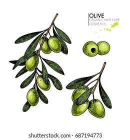 Vector set of hair care ingredients. Organic hand drawn elements. Farm market vegetables. Colored green olive branches. for cosmetic package, shop, store, products, spa salon, wellness program, skin.