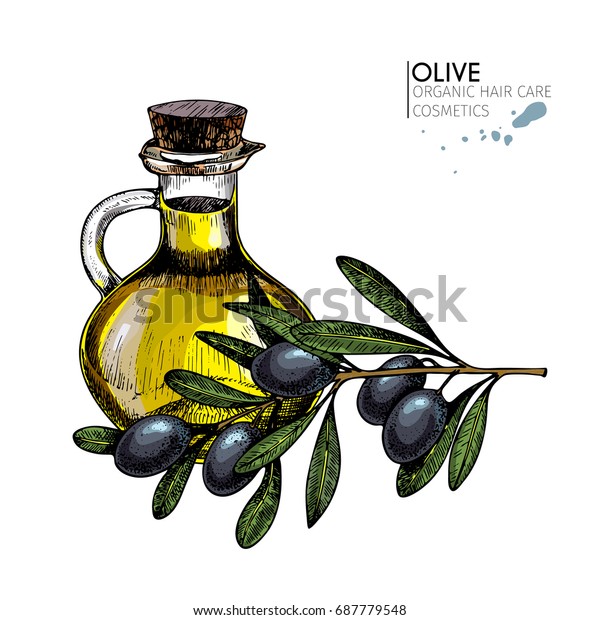 Vector Set Hair Care Ingredients Organic Royalty Free Stock Image