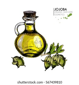 Vector set of hair care ingredients.Organic hand drawn colored elements.Jojoba branch, nut and oil bottle.cosmetic package, shop, store, products, spa salon, wellness program, procedure, skin, beauty