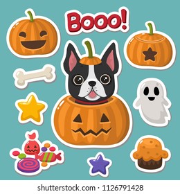 Vector set of Halloween icons stickers. In the picture the dog  French bulldog in a pumpkin, a pumpkin with a smile, a pumpkin with evil face, candy, bones, ghost, stars, pumpkin pie 