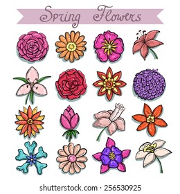 Vector set of hand draw and colorful spring flowers on white background. Sketches for use in design