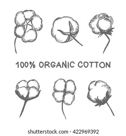 Vector set of hand draw ink cotton plant. Cotton icons illustration set. Can be used as logo, labels, stickers and emblems.