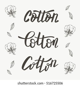 Vector set of hand draw ink cotton plant and lettering. Botanical illustrations.