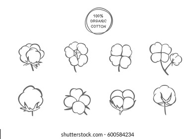 Vector set of hand draw ink cotton plant. Cotton icons illustration set. Can be used as logo, labels, stickers and emblems. Doodle branch of cotton. Sketch. 