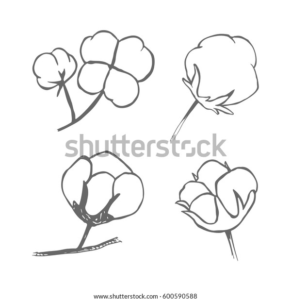 Vector Set Hand Draw Ink Cotton Stock Vector (Royalty Free) 600590588