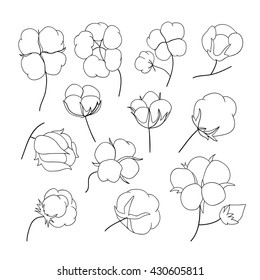 Vector set of hand draw outline cotton plant.