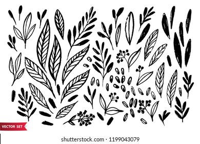 Vector set of hand drawing wild plants, herbs and berries, monochrome artistic botanical illustration, isolated floral elements, hand drawn illustration.