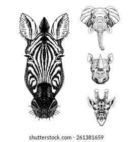 Vector set of hand drawn animal. Vintage illustration with elephant, giraffe, rhino and zebra.