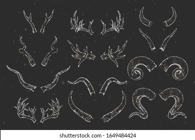 Vector set of hand drawn animals horns with grunge elements on dark background. Sketch illustration. For you design, tattoo or modern magic craft.