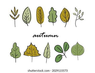 Vector set of hand drawn autumn leaves. Design for poster, textiles and stickers