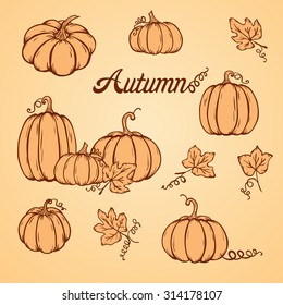 Vector set of hand drawn autumn pumpkins