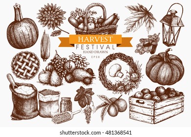 Vector set of hand drawn autumn illustration. Traditional harvest festival design elements. Vintage fall sketch collection on white background. Outlines