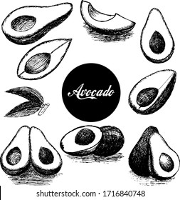 Vector set of hand drawn avocado. Food hand drawn vector illustration. Design for packaging, weddings, fabrics, textiles, wallpaper, website, postcards.