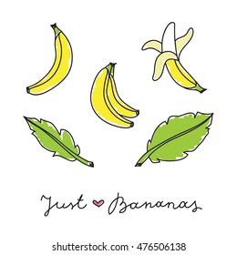 vector set of hand drawn bananas and leaves on white