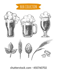 Vector set of  hand drawn beer glasses, mugs and ingredients.