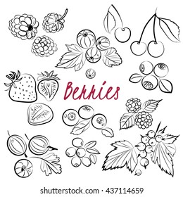 Vector set of hand drawn berries(gooseberries, raspberries, strawberries, black currants, red currants, cranberries, blueberries, cherries) 