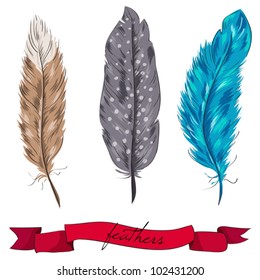 Vector set of hand drawn bird feathers with ribbon. Cute realistic sketch