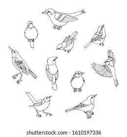 Vector set of hand drawn bird