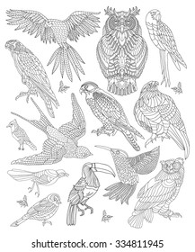 vector set of hand drawn birds