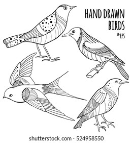 Vector set of hand drawn birds. Collection of sketch style bird with doodles. Black on white isolated outline drawing for coloring