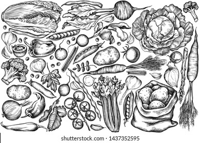 Vector set of hand drawn black and white onion, garlic, pepper, broccoli, radish, green beans, potatoes, cherry tomatoes, peas, celery, beet, greenery, chinese cabbage, cabbage, carrot