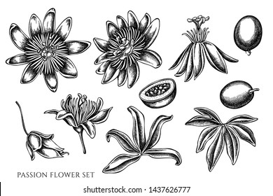 Vector set of hand drawn black and white passion flower