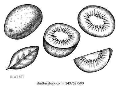 Vector set of hand drawn black and white kiwi