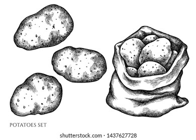 Vector set of hand drawn black and white potatoes