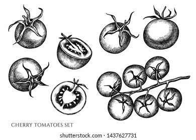 Vector set of hand drawn black and white cherry tomatoes