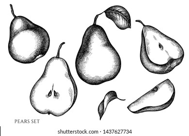 Vector set of hand drawn black and white pears