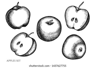 Vector set of hand drawn black and white apples
