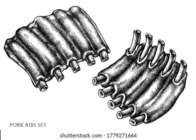 Vektor-Set handgezeichnet, schwarz-weißer Schweinegrippen