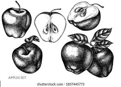 Vector set of hand drawn black and white apples