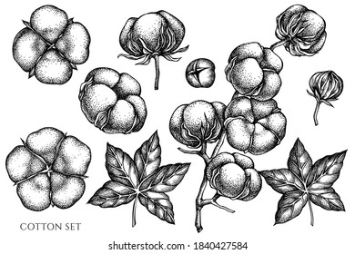 Vector set of hand drawn black and white cotton
